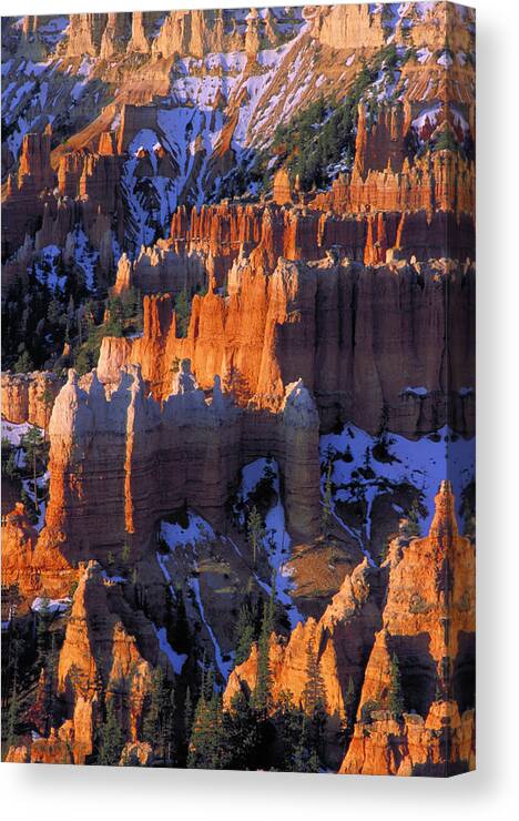 Bryce Canyon Sunrise Forms Color Canvas Print featuring the photograph Bryce Sunrise by John Farley