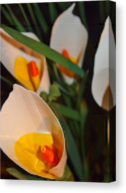 Fine Art Canvas Print featuring the photograph Calla Lilly's 'ala Duck Tape by Laura Grisham