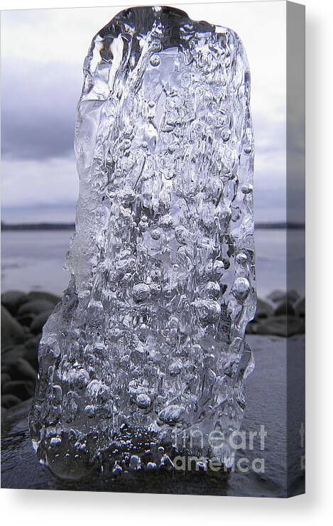 Icy Tears Canvas Print featuring the photograph Captured icy tears by Sami Tiainen