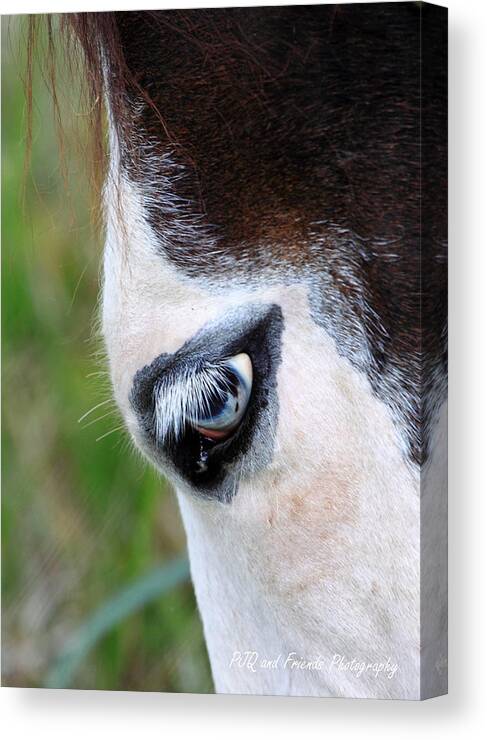  Canvas Print featuring the photograph 'Eye of Ghostface' by PJQandFriends Photography