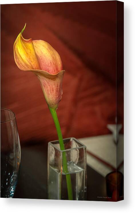 Flower Canvas Print featuring the photograph Flower and Vase by Frank Mari