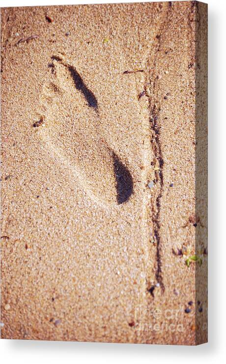 Footprint Canvas Print featuring the photograph Footprint In The Sand by HD Connelly