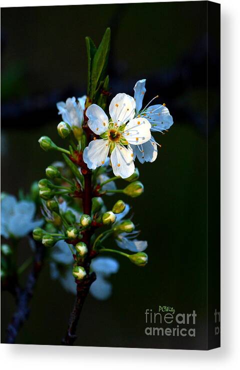 Flower Canvas Print featuring the photograph Hey Bud Open Up Or Bee Forgotten by Patrick Witz