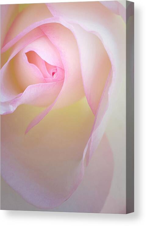 Yellow Canvas Print featuring the photograph Hint of yellow by Carolyn D'Alessandro