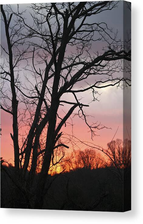 Sunrise Canvas Print featuring the photograph January Sunrise 3 by Teresa Mucha