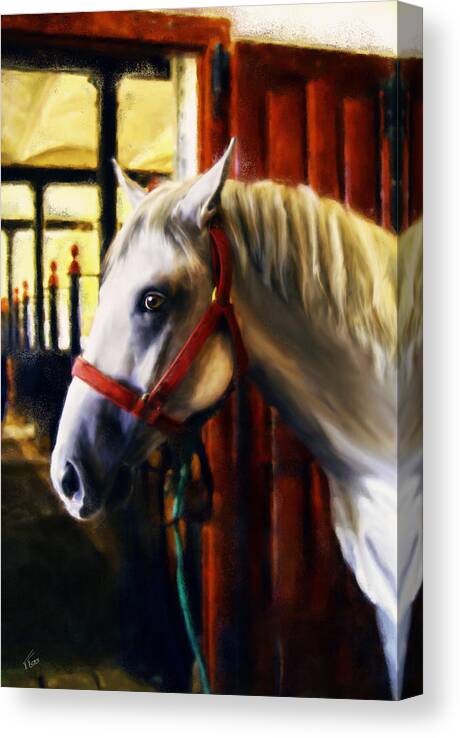 Horse Canvas Print featuring the painting Lipicaner by Tatiana Fess