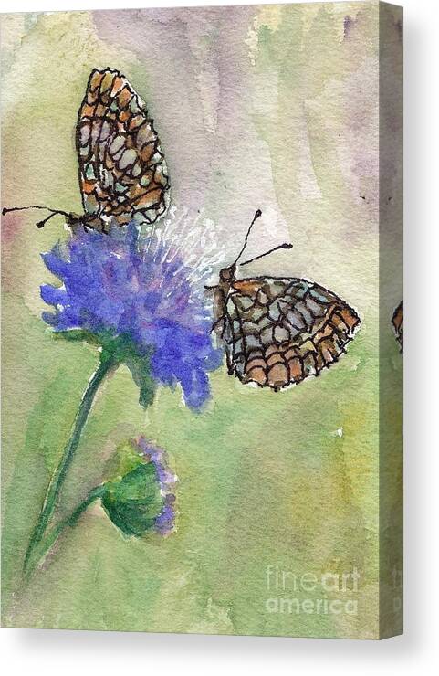 Butterflies Canvas Print featuring the painting Little Dainties by Suzanne Krueger