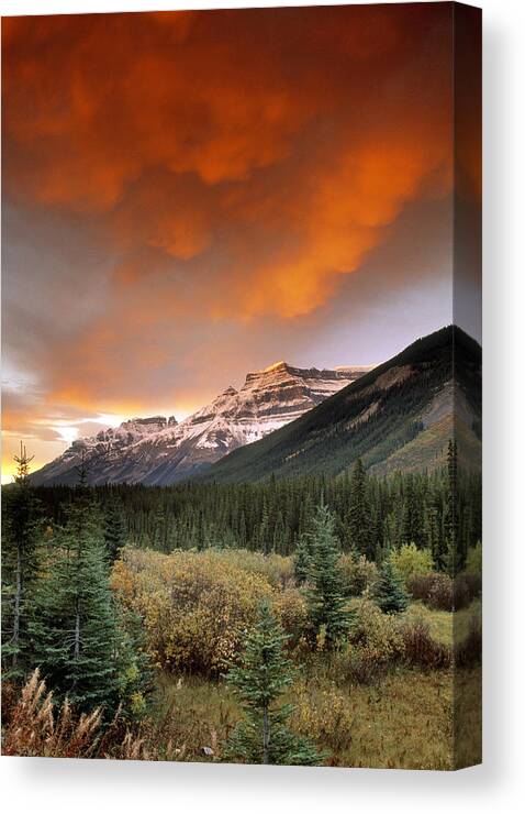 Light Canvas Print featuring the photograph Mt. Amery And Dramatic Clouds, Banff by Darwin Wiggett