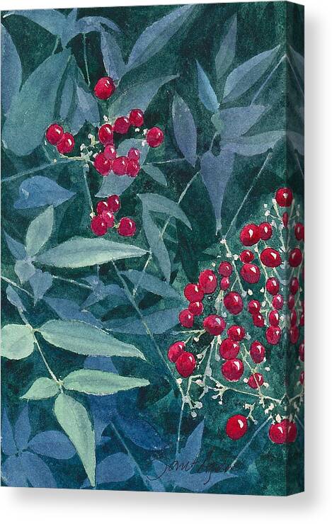 Plant Canvas Print featuring the painting Nandina by Frank SantAgata