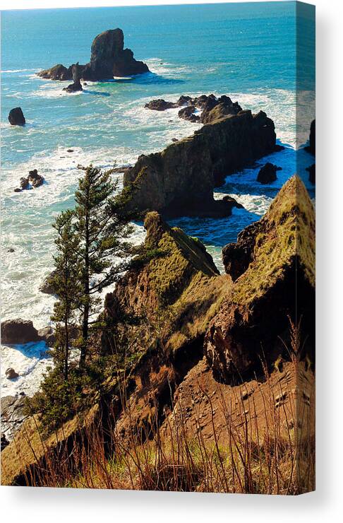 Beaches Canvas Print featuring the photograph Oregon Coast by Athena Mckinzie