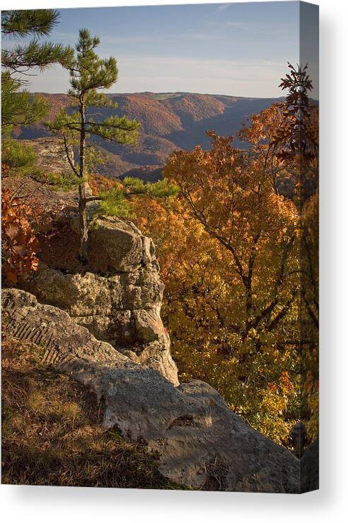 Fall Color Canvas Print featuring the photograph Overlook at Cecil Hollow by Michael Dougherty
