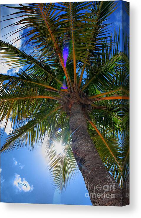 Palm Canvas Print featuring the photograph Palms Up by Patrick Witz