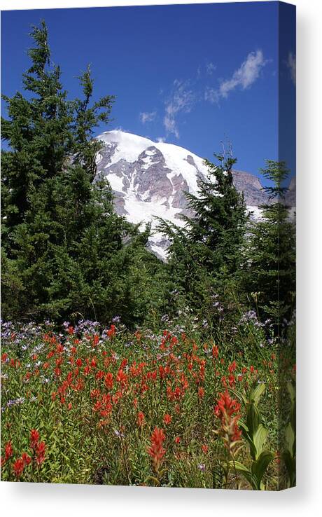 Mount Rainier Canvas Print featuring the photograph Paradise by Jerry Cahill