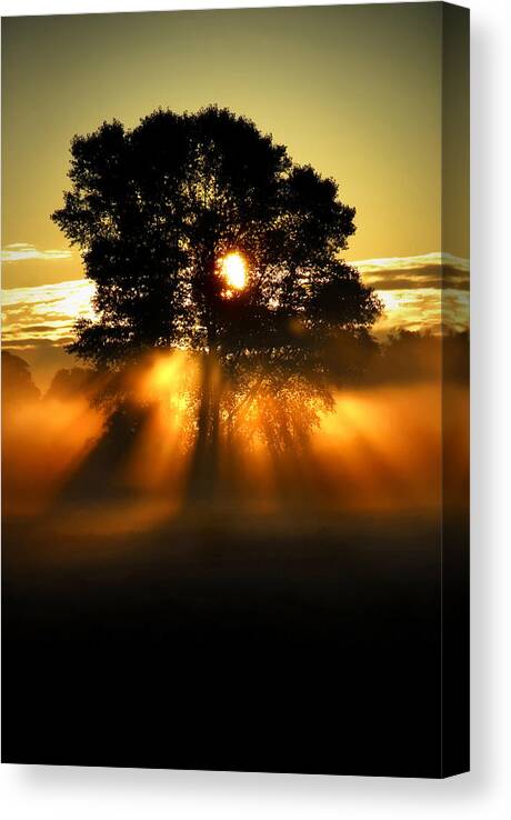 Sunrise Canvas Print featuring the photograph Paved In Gold by John Chivers