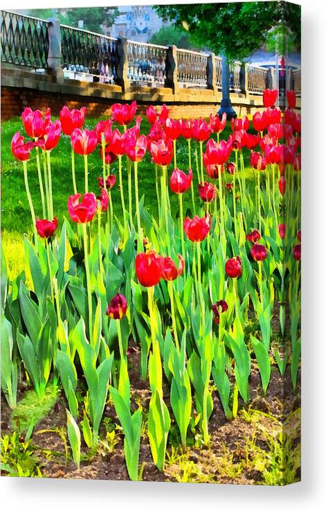 Art Canvas Print featuring the photograph Red tulips by Michael Goyberg