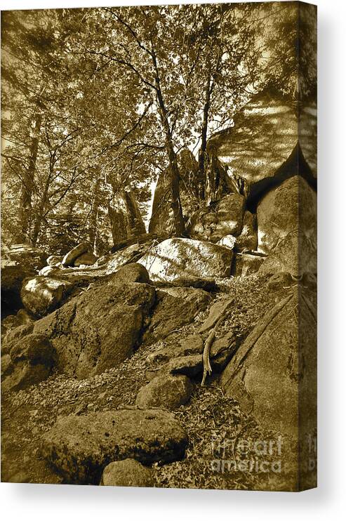 Maynard Canvas Print featuring the photograph Rocks and Trees 2 sepia by Maynard Smith