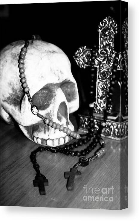  Canvas Print featuring the photograph Skull 5 by Samantha Lusby