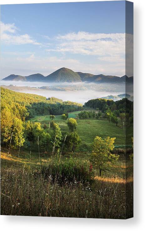 Transylvania Canvas Print featuring the photograph Summer morning by Mircea Costina Photography