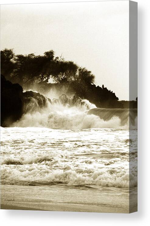 Ocean Canvas Print featuring the photograph Timeless by Kerri Ligatich