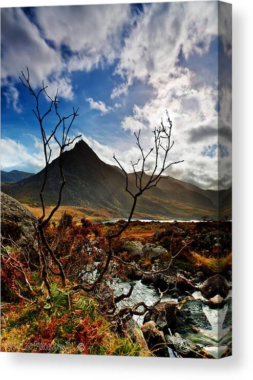 Tryfan Canvas Print featuring the photograph Tryfan and tree by B Cash
