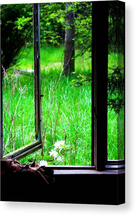 Broken Window Canvas Print featuring the photograph Want To Get Free Too by Rachel Porostosky