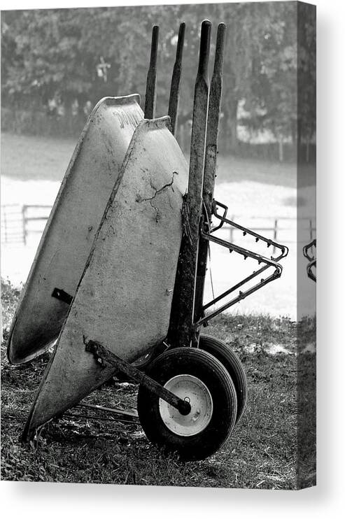 Wheelbarrows Canvas Print featuring the photograph Wheelbarrows by Lisa Phillips