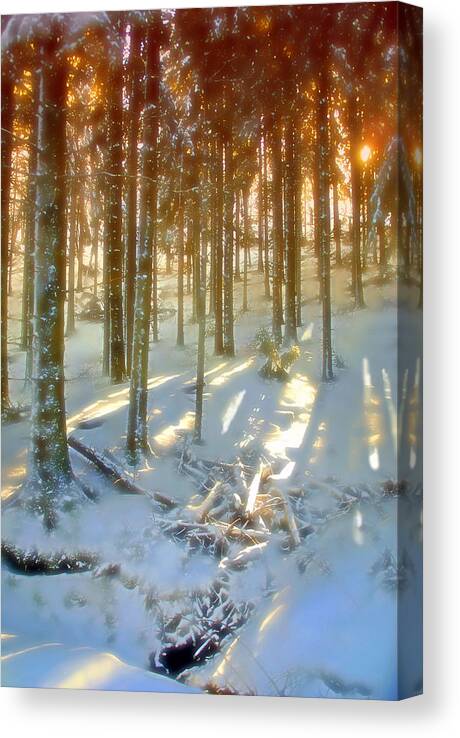 Volcans Canvas Print featuring the photograph Winter Sunset by Rod Jones
