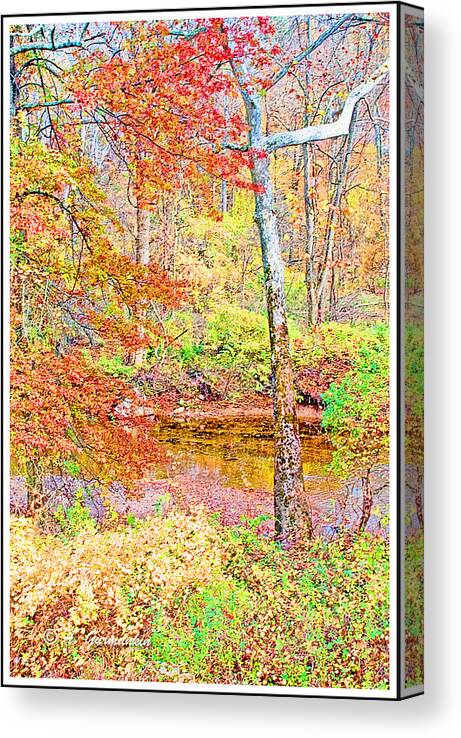 Environment Canvas Print featuring the photograph Woods in Autumn Montgomery Cty Pennsylvania by A Macarthur Gurmankin