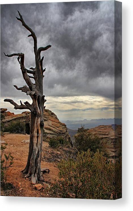 Mount Lemmon Canvas Print featuring the photograph Crags and Crooks II #1 by Leda Robertson
