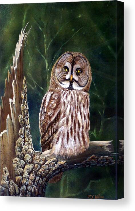 Wildlife Canvas Print featuring the painting Deep In The Woods #1 by Frank Wilson
