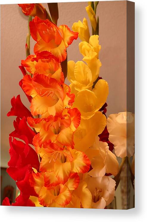 Flowers Canvas Print featuring the photograph Gladiolas #1 by Farol Tomson