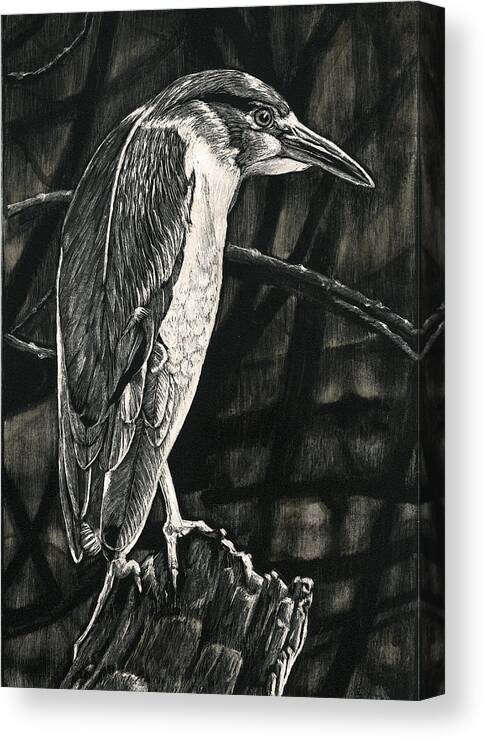 Bird Canvas Print featuring the drawing Lettuce Lake by William Underwood