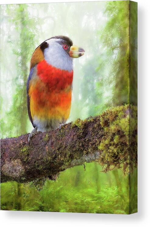  Canvas Print featuring the digital art Toucan Barbet by Bill Johnson