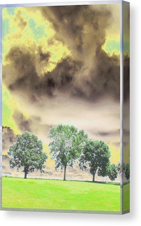 Trees Canvas Print featuring the photograph 3 Trees Series - #2 by Feather Redfox