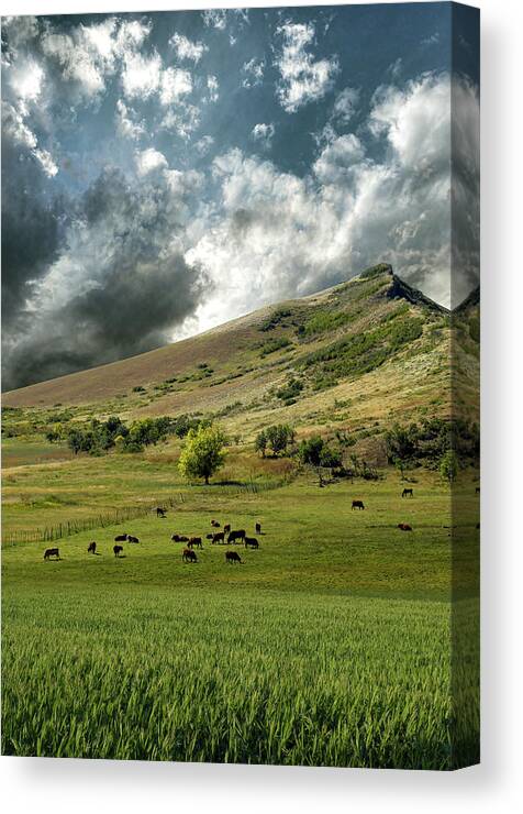 Mountains Canvas Print featuring the photograph 4235 by Peter Holme III