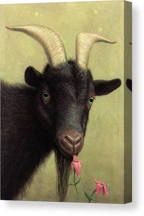 Black Goat Canvas Print featuring the painting A Black Goat enjoying a Pink Flower by James W Johnson