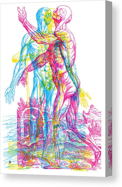 Anatomy Canvas Print featuring the digital art Andreae Skeleton by Gary Grayson