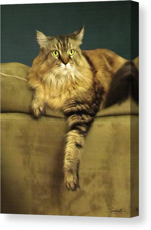 Cat Canvas Print featuring the digital art Annie by M Spadecaller