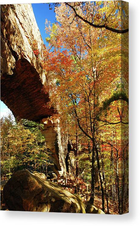 Natural Canvas Print featuring the photograph Autumn at Natural Bridge State Resort by James Kirkikis
