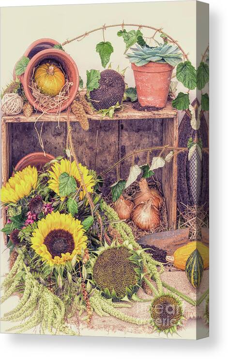 The Kitchen Garden Canvas Print featuring the photograph Autumns End by Tim Gainey
