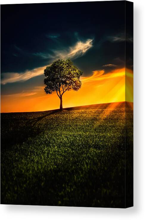 Autumn Canvas Print featuring the photograph Awesome Solitude II by Bess Hamiti