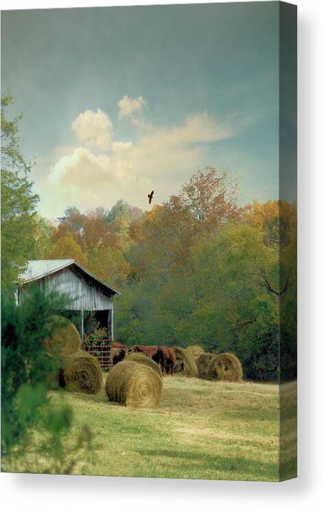 Landscapes Canvas Print featuring the photograph Back At The Barn Again by Jan Amiss Photography