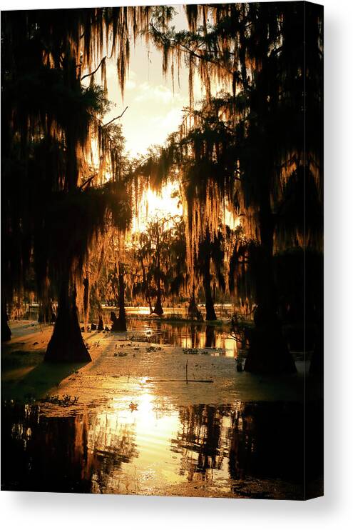 Fire Canvas Print featuring the photograph Bayou Fire by Nicholas Blackwell