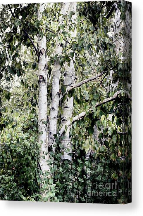 Nature Canvas Print featuring the painting Birch Trees by Elaine Manley