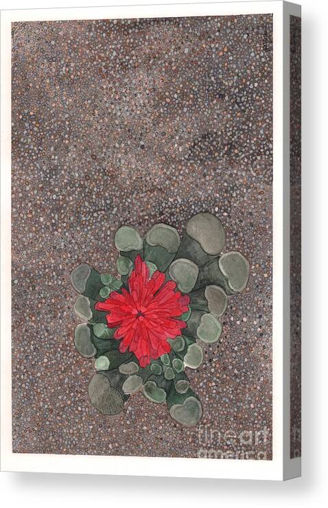 Succulent Canvas Print featuring the painting Blooming Succulent by Hilda Wagner