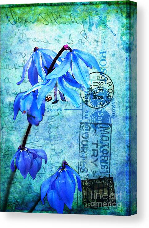 Flowers Canvas Print featuring the photograph Blue Bells on Vintage 1936 Postcard by Nina Silver