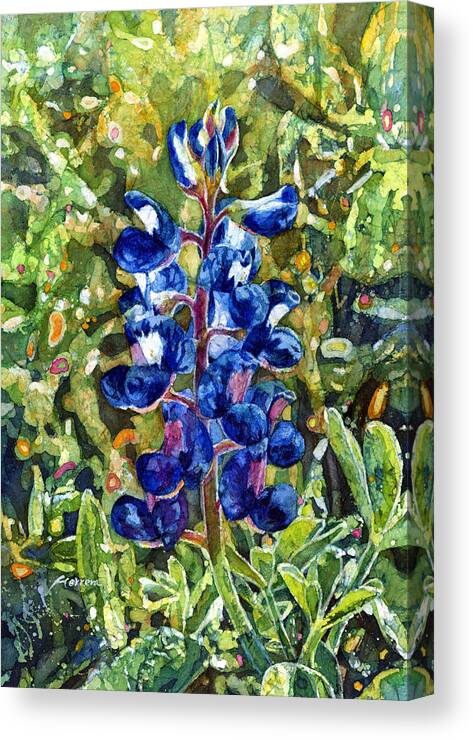 Bluebonnet Canvas Print featuring the painting Blue in Bloom by Hailey E Herrera