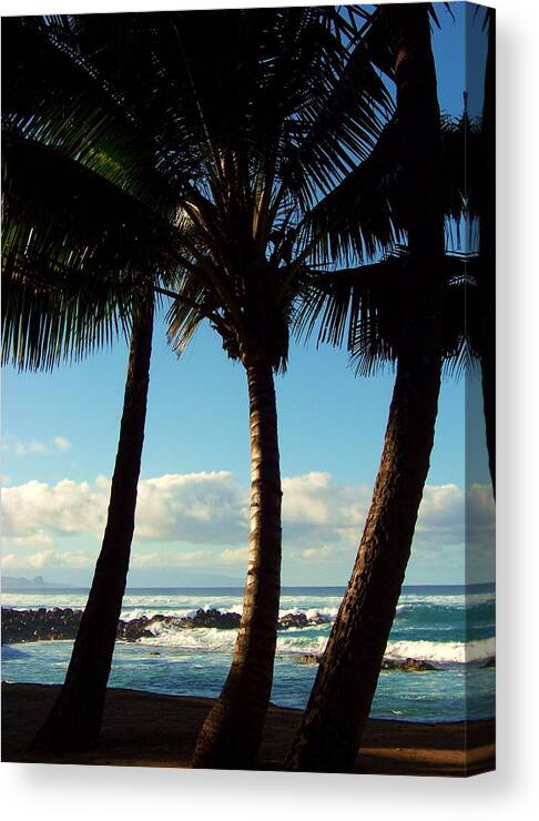 Palm Trees Canvas Print featuring the photograph Blue Palms by Karen Wiles