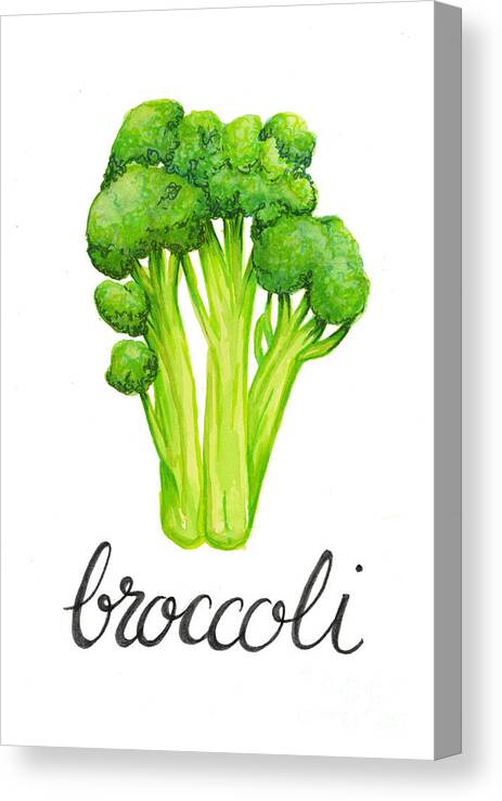 Broccoli Canvas Print featuring the painting Broccoli by Cindy Garber Iverson