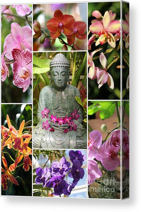 Orchid Canvas Print featuring the photograph Buddha with Orchids Collage by Carol Groenen